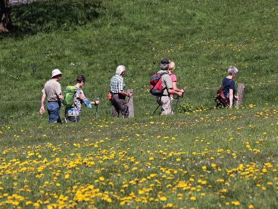 Taxi pour un groupe de randonneurs avec transfert de bagages sur Fécamp, Etretat et Yport